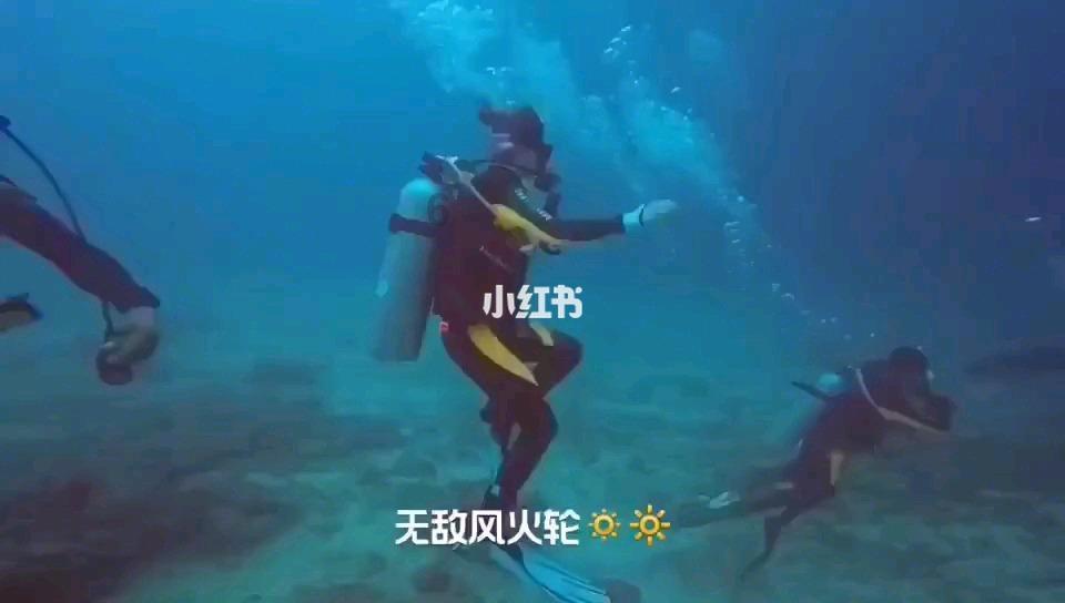 张雨绮吐槽哇唧唧哇，你对哇唧唧哇如何评价？游戏画面