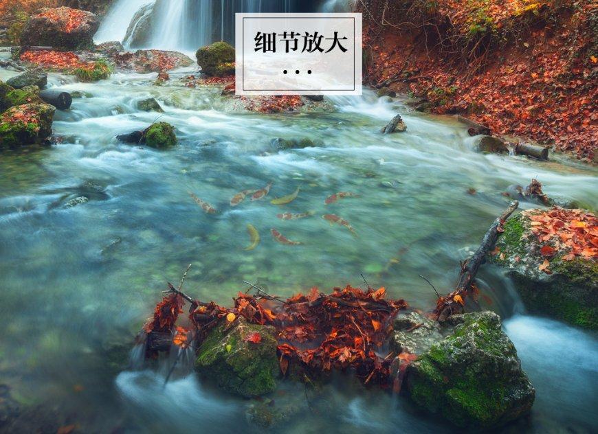 赵丽颖代言蒙牛支线?拜托,赵丽颖是蒙牛最爱合作的女演员